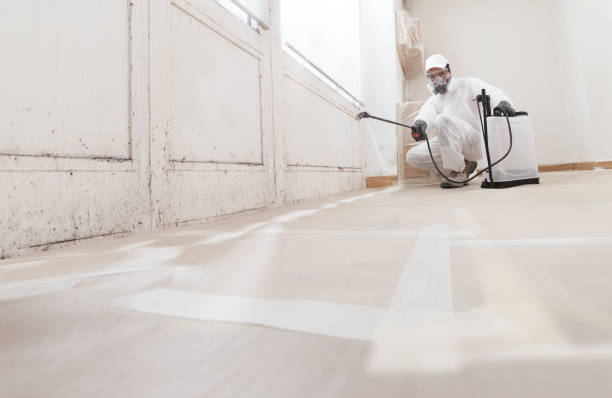 24/7 Emergency Black Mold Remediation experts in Rowlett, TX