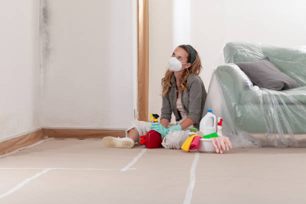 Reliable Black Mold Remediation contractor in Rowlett, TX by Mold Remediation HQ